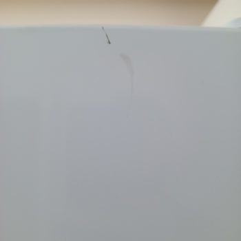 Bosch Buzdolabı Hasarlı Eve Taşıma