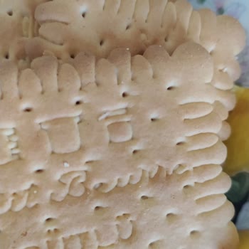 Eti Gıda SKT'si Olan Ama Kurtlu Ürün!