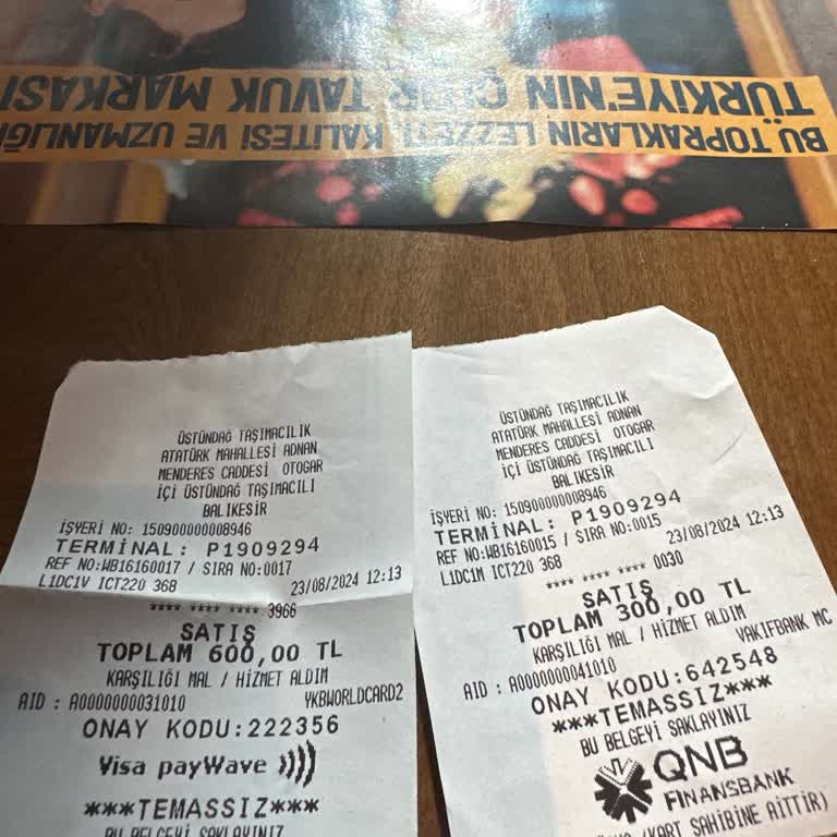 Üstündağ Turizm Erdek-Bursa Seferinde Minibüs Ve Tehlikeli Sürüş Deneyimi