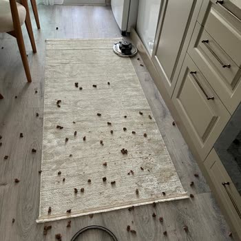 Schafer Düdüklü Tenceresi Patladı