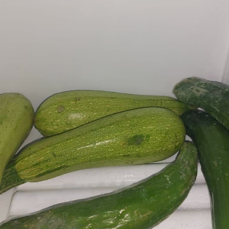 Profilo Buzdolabı Nemlenme Sorunu Var