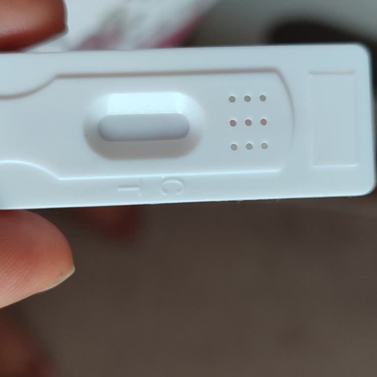 Bir Gebenin Günlüğü Ovulasyon Ve Gebelik Testleri Hatalı