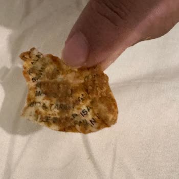 Nut Master N Cipsten Çıkan Yabancı Cisim