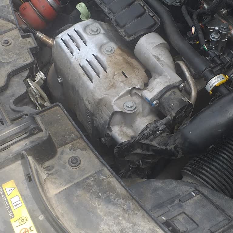 Citroen Samsun'da Yetkili Servis Hizmetinden Şikayetçiyim