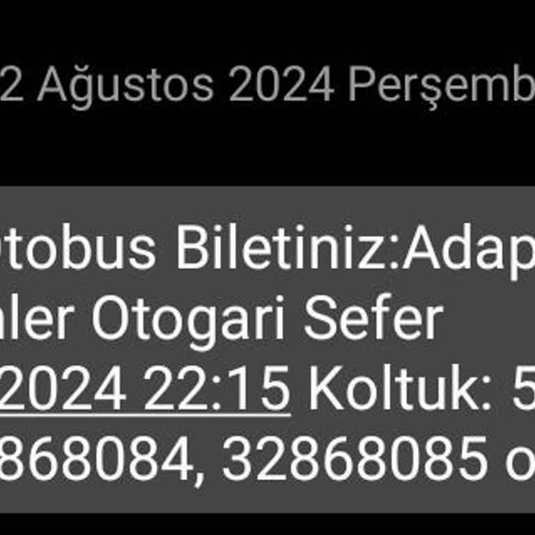 Vib Turizm Sakarya Bileti Satarken Verilen Sözlerin Tutulmaması