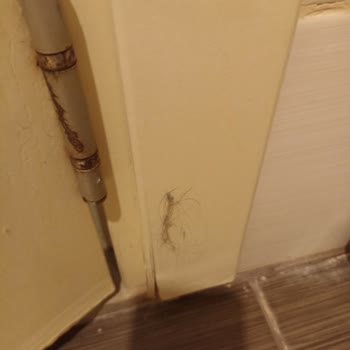 ETS Tur İle Kötü Tatil Deneyimi