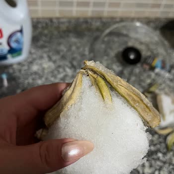 Muti Gıda Bozuk Ürünleri (dondurulmuş Bamya)