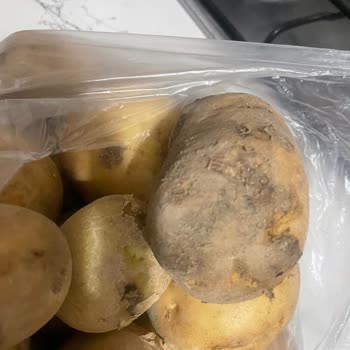 Carrefour SA'da Çürük Patates Gönderilmiş