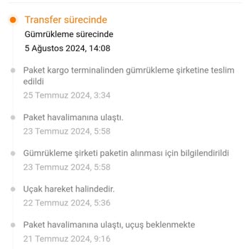 Temu Gümrük Süresi Uzadı