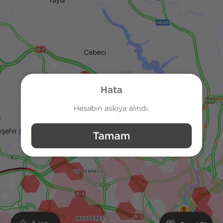 Martı Tag Sürücü Hesabım Askıya Alındı
