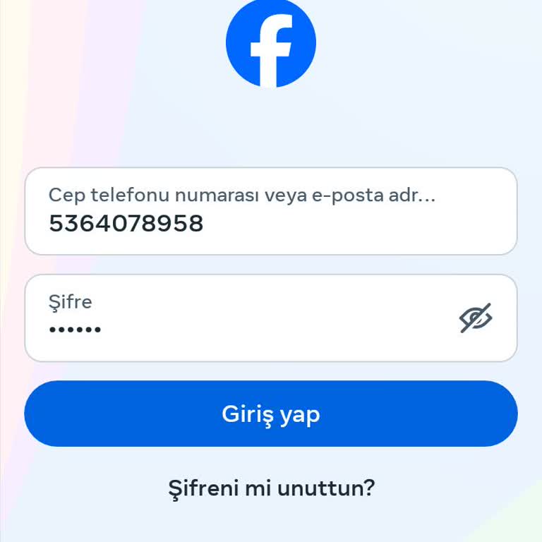 Facebook Şifre Sorunu: Hesabıma Giremiyorum