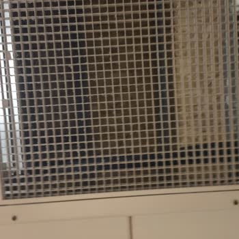 Acapulco Resort Hotel Otel Konaklamasında Yaşanan Sağlık Ve Temizlik Sorunları