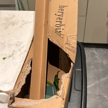 Heryerbitki Sitesi Üzerinden Aldığım Siparişteki Mağduriyetim