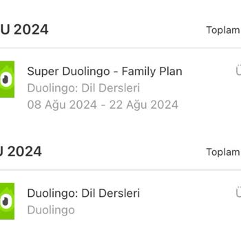 Duolingo Family Plan Deneme Sürecinde Ücret Kesintisi