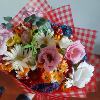 Kayseri Çiçek Evinin Özensizliği