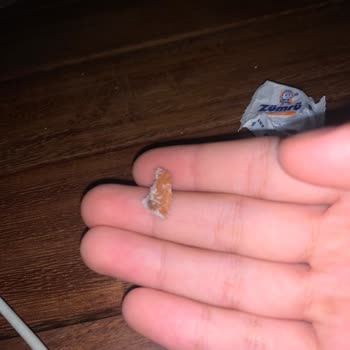 Şeker Gıda Küp Şeker Paketinde Beklenmedik Sürpriz