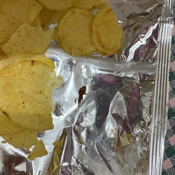 Cipso Marka Cips Sorunu