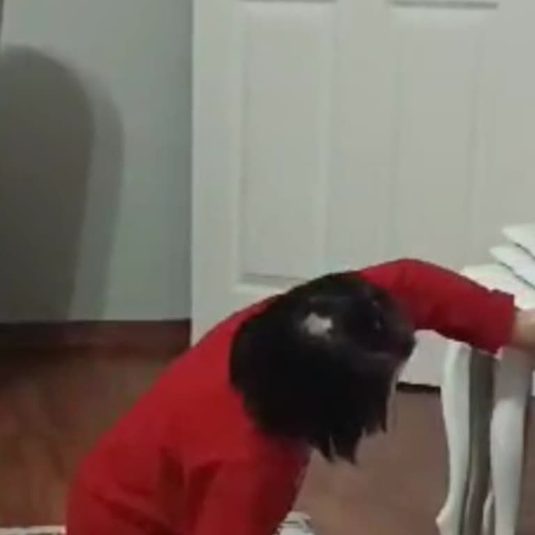 Ercan Bakım Merkezi Bakım Merkezindeki Çocuklara Uygulanan Şiddet İddiaları