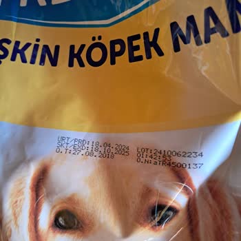 Şok Marketler Köpek Maması Kalitesi Ve Sağlık Sorunları