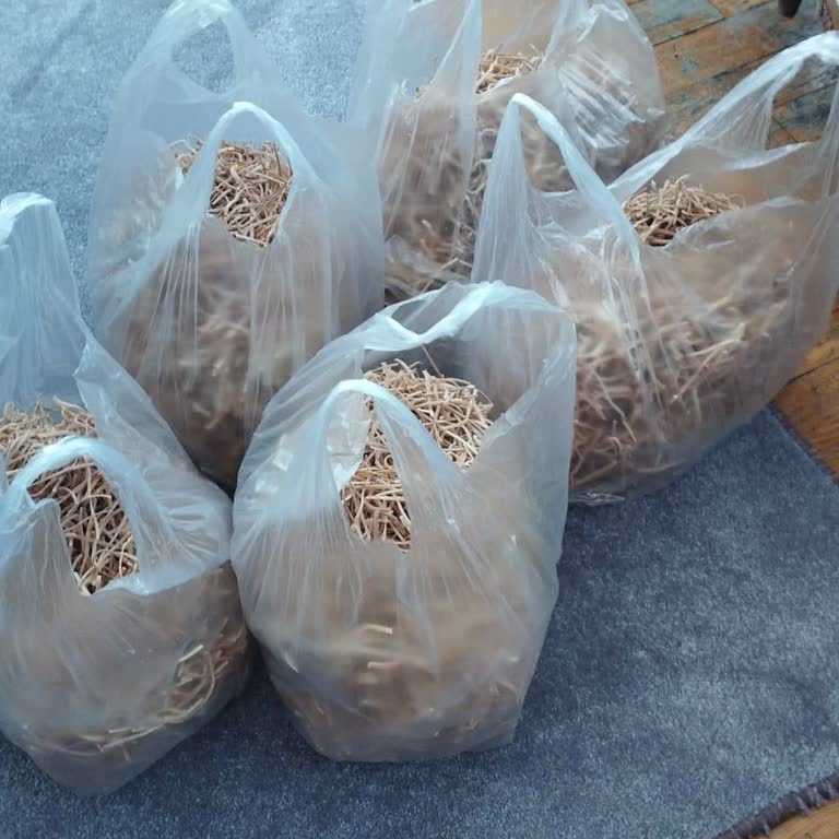 A101 Eksik Parçalı Oyuncak Ve İade Sorunu