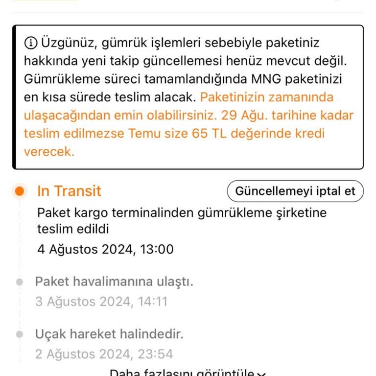 Temu Gümrükte Takılan Sipariş: 1 Aydan Fazla Bekleme