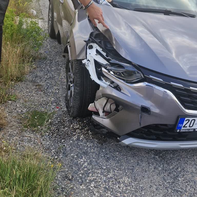 Renault Bayi İlgisizliği, Müşteri Mağduriyeti