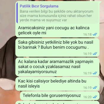 Kandıra Belediyesi Kocaeli / Kandıra Pati Lik Mutlu Sokak Hayvanları Barınağı HKK;