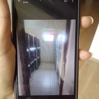 Kandıra Belediyesi Kocaeli / Kandıra Pati Lik Mutlu Sokak Hayvanları Barınağı HKK;