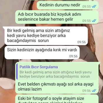 Kandıra Belediyesi Kocaeli / Kandıra Pati Lik Mutlu Sokak Hayvanları Barınağı HKK;
