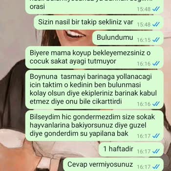 Kandıra Belediyesi Kocaeli / Kandıra Pati Lik Mutlu Sokak Hayvanları Barınağı HKK;