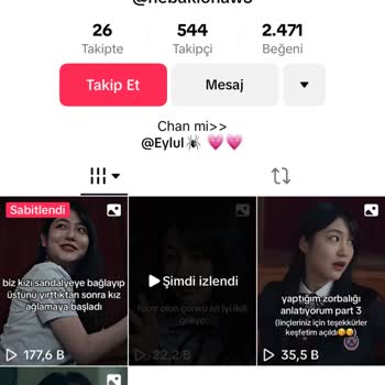 TikTok'ta Bir Hesabın Şiddete Teşvik Edici Videolar Göndermesi