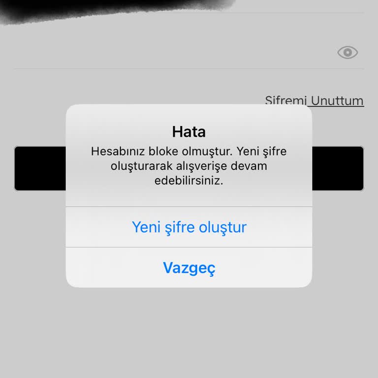 Mavi Hesabıma Giremiyorum