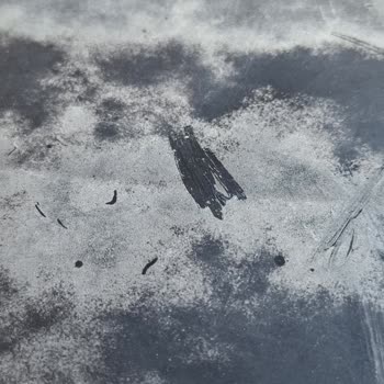 Bulut Smx Kimya SMX Wax Araca Zararı