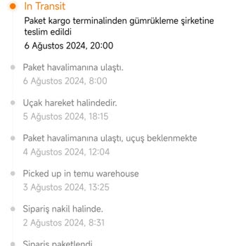 Temu MNG Kargo Gümrükten Paketimi Almıyor