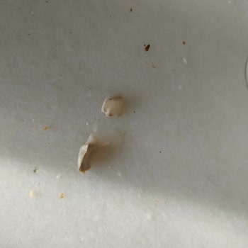 File Marketten Aldığım Milky Badem Sütü Bozuk Çıktı