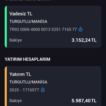 THY Yatırımımı Geri Çekemiyorum