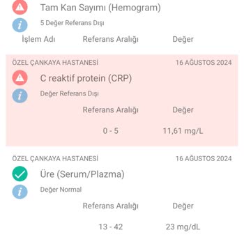 Algida Tarihi Geçmiş Üründen Zehirlenme