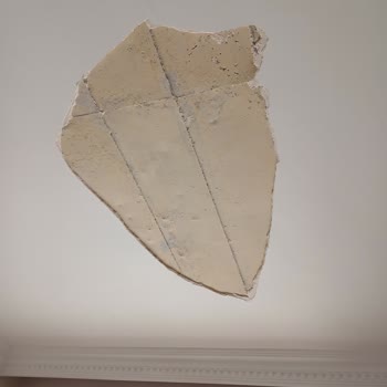 Mis Yapı Özkanlar Pişmanlık!