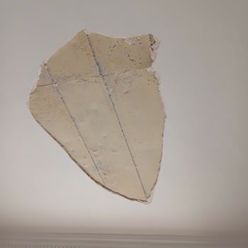 Mis Yapı Özkanlar Pişmanlık!