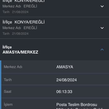 PTT Kargo Şikayeti Sevkiyatı Ulaşmayan Kargo