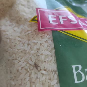 Efsane Baldo Pirinç Şikayetim