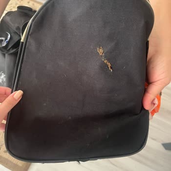 Hatay Csr Turizm Bagajda Tavuk Taşıyor