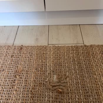 IKEA Halı Kalitesizliği Ve Müşteri Hizmetleri Sorunu!