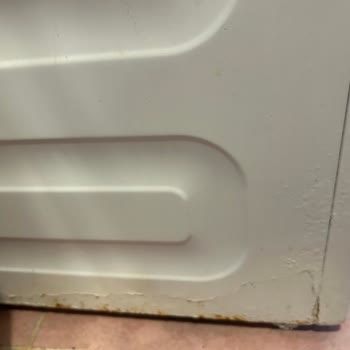 Arçelik Çamaşır Makinesi Paslanma Sorunu ve Değişim Talebi