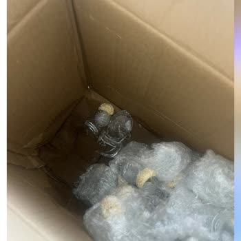 Cemre.tasarimatolyesi (Instagram) Hiç Memnun Kalmadım