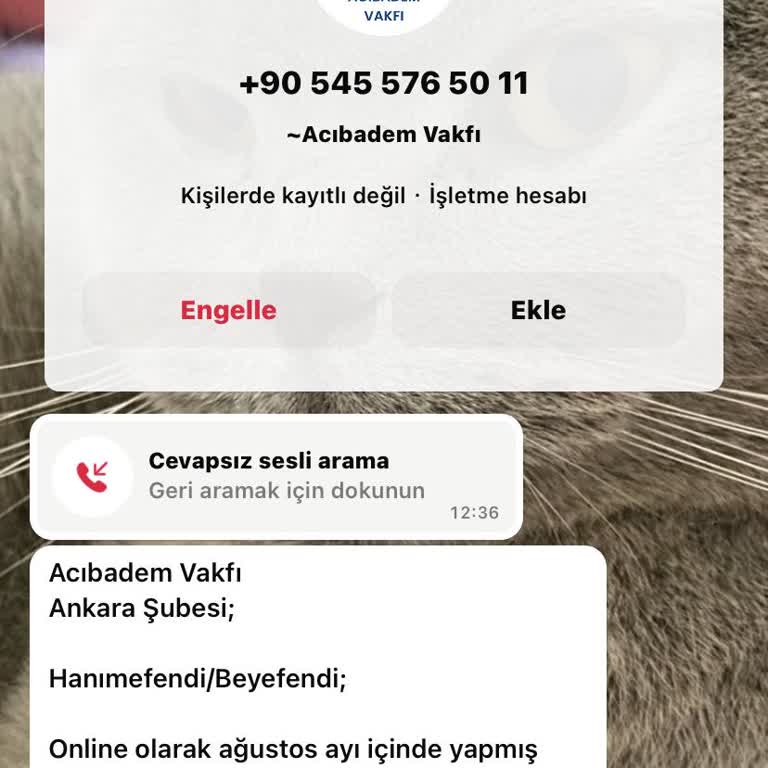 Acıbadem Vakfı (Burs Başvurusu) Acıbadem Burs Başvurusu