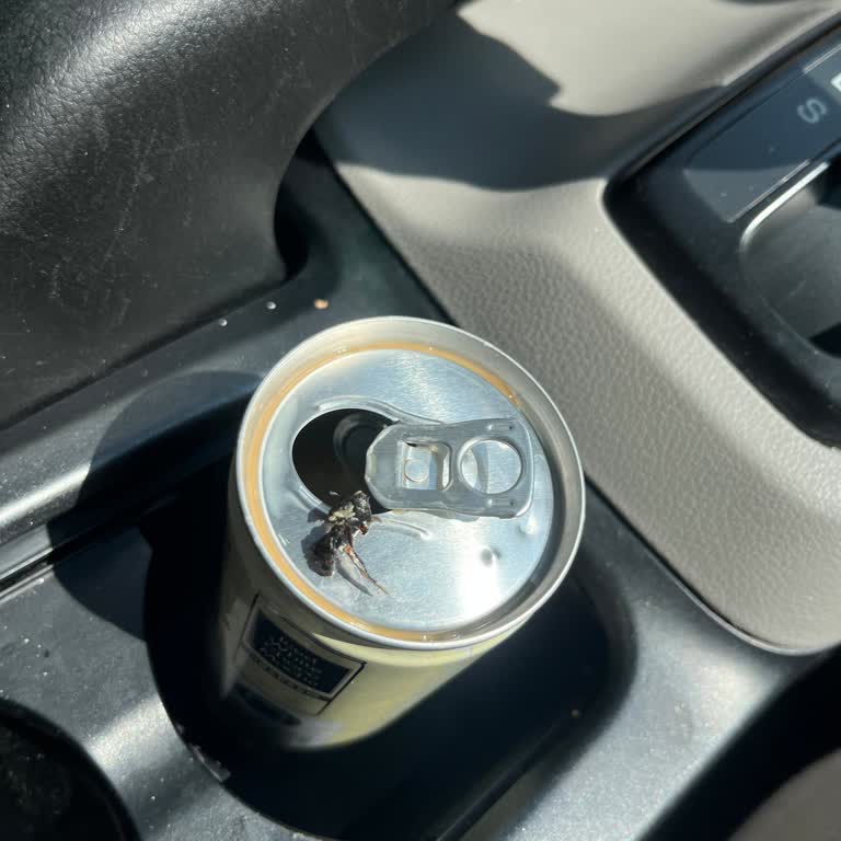 Obsesso Soğuk Kahvede Böcek Şoku