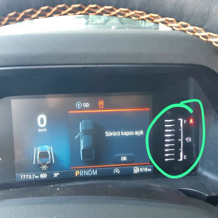 Ford Yetkili Servislerinin Algı Problemi