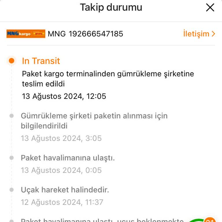 MNG Kargo, Gümrük Ve Temu Açmazı
