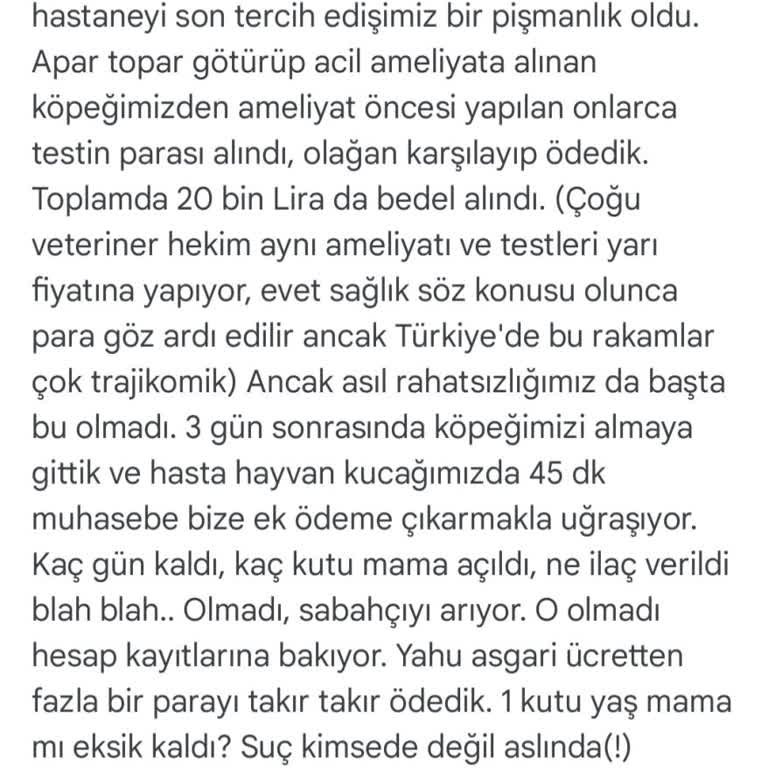 Pegasos Veteriner Pegasos Hayvan Hastanesi Pişmanlığı